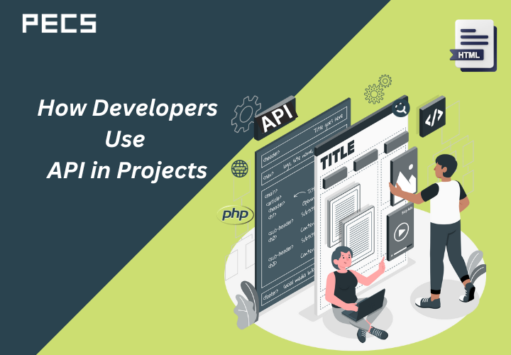 How Developers Use API in Projects