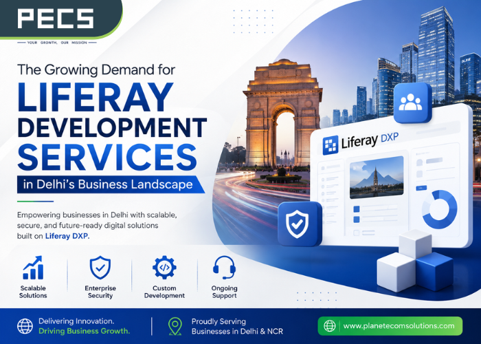 The Rising Need for Liferay Developers in Delhi Businesses
