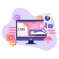 CMS Development